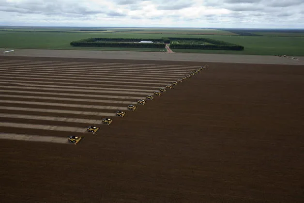 INICIO DE LA COSECHA DE SOYA EN BAHÍA EN BRASIL