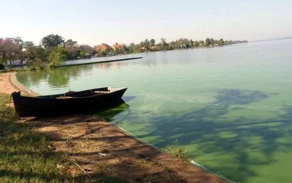 lago ypacaraí verde
