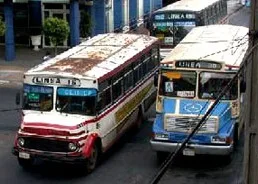 omnibus1
