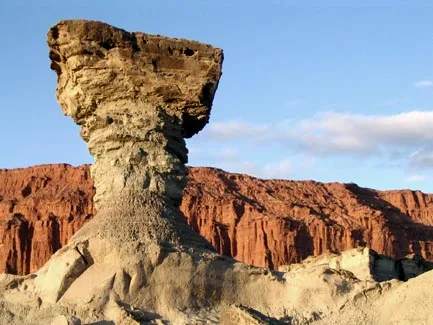 Hongo de Ischigualasto, Prov. de Catamarca