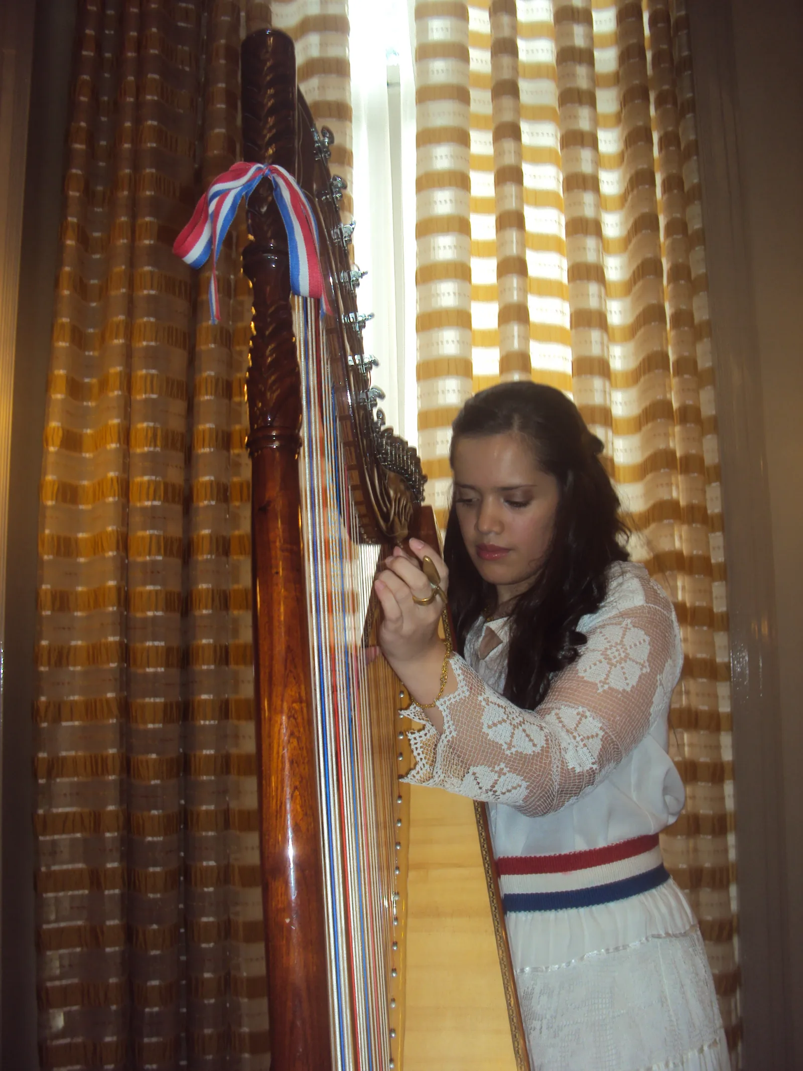 Música paraguaya en el Plaza Hotel