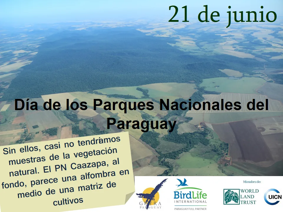 Guyrá paraguay 21-06-14