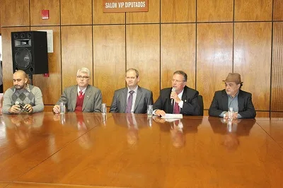 cine boquerón diputados 14-08-14