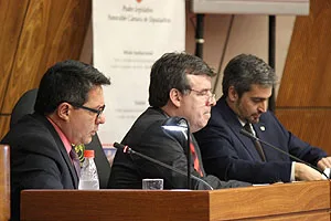 Indígenas diputados 07-10-14
