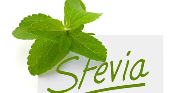 Stevia bis