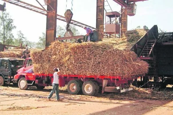 Un transportista entrega una carga a la Azucarera Iturbe. (foto ABC Color)