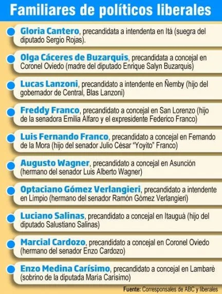 política liberales elecciones 2015
