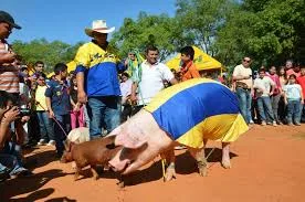 kuré ára