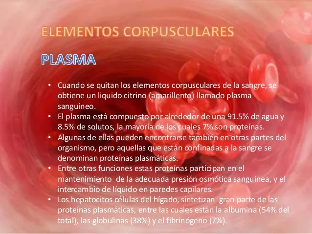 plasma sanguneo va