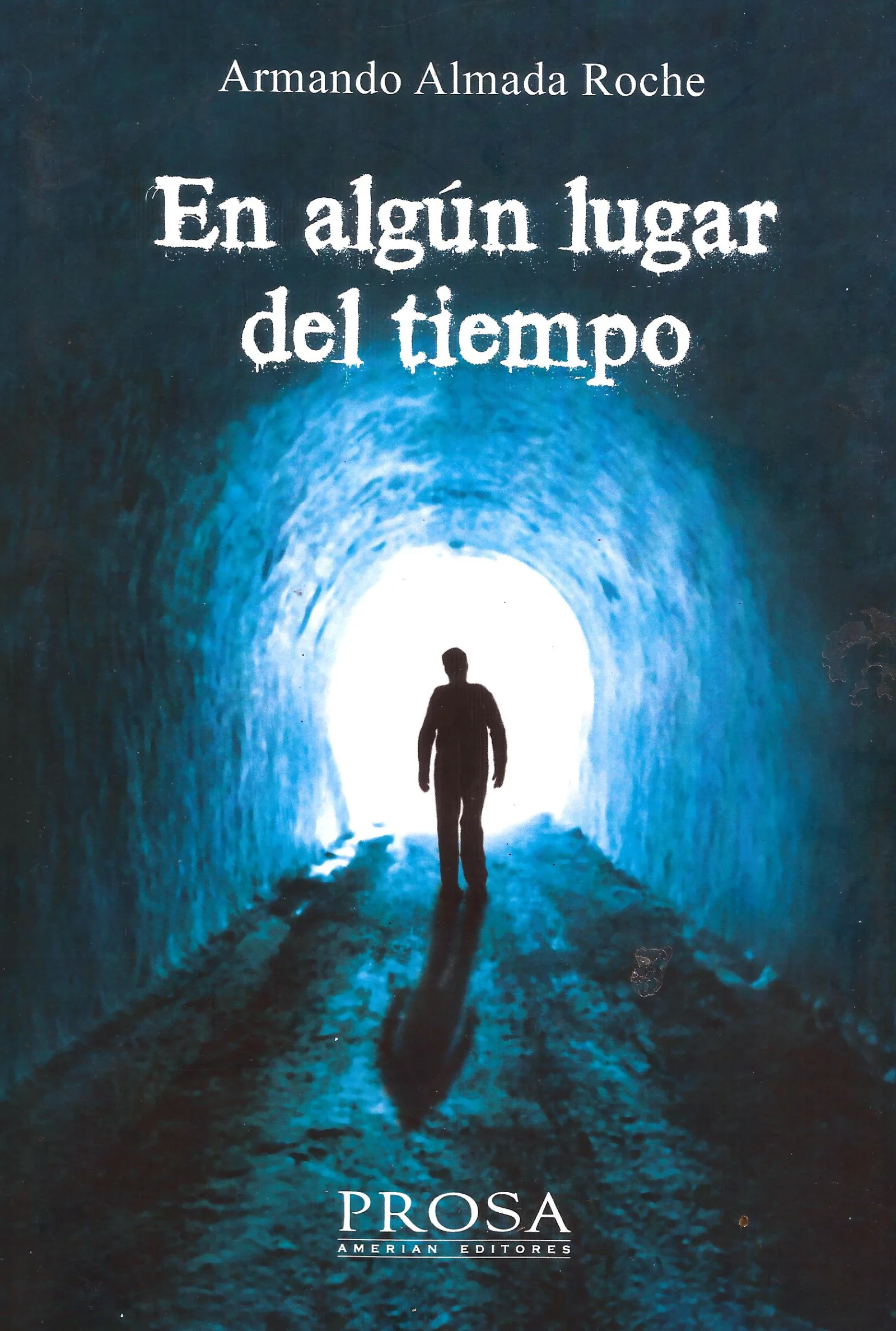 armando a. roche libro en algún lugar
