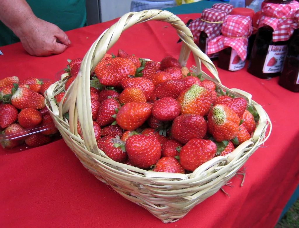 frutilla py