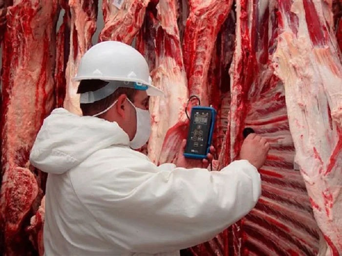 carne_0