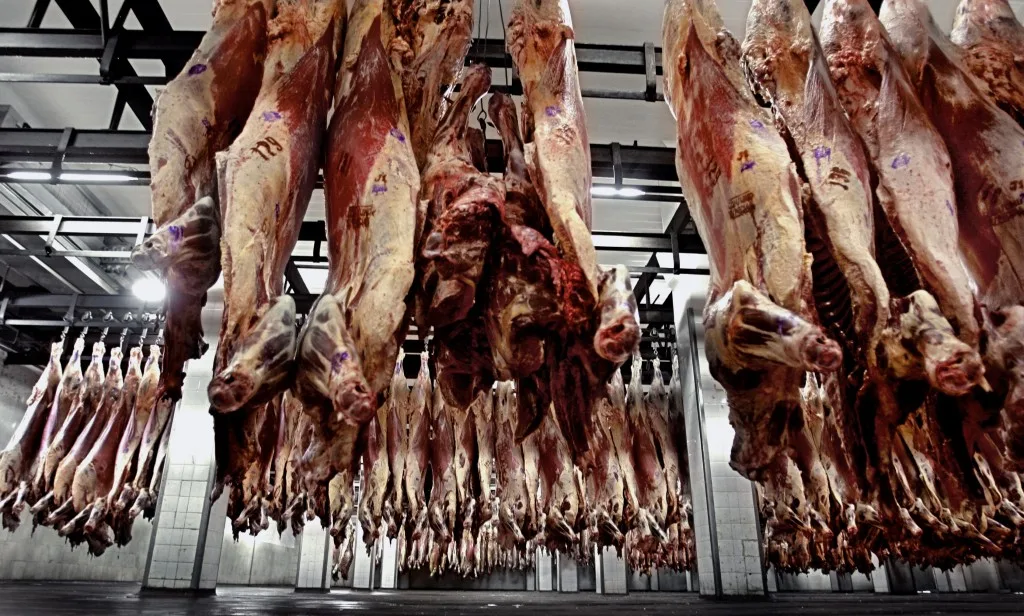 carne py de exportación