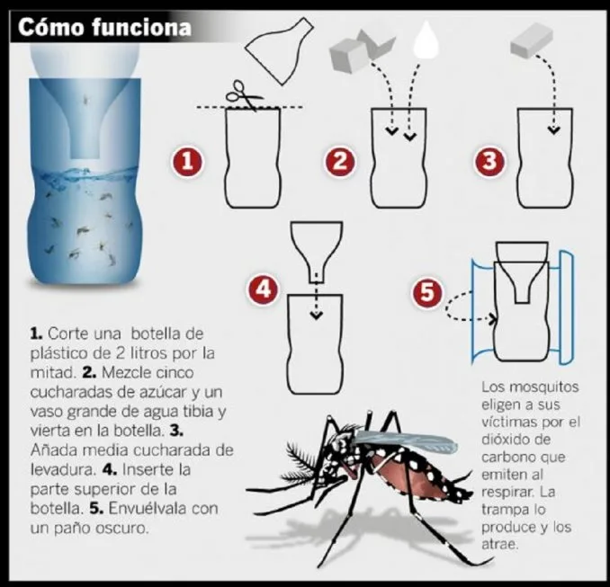 dengue vale