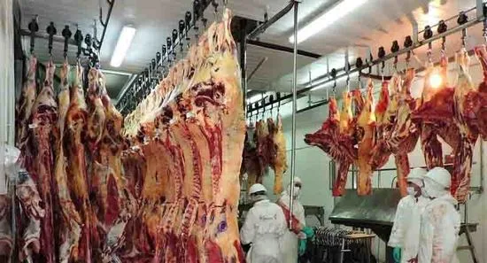 La carne paraguaya está un paso del mercado estadounidense. (Foto: Senacsa.gov.py)