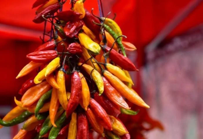 picante 24-06-16
