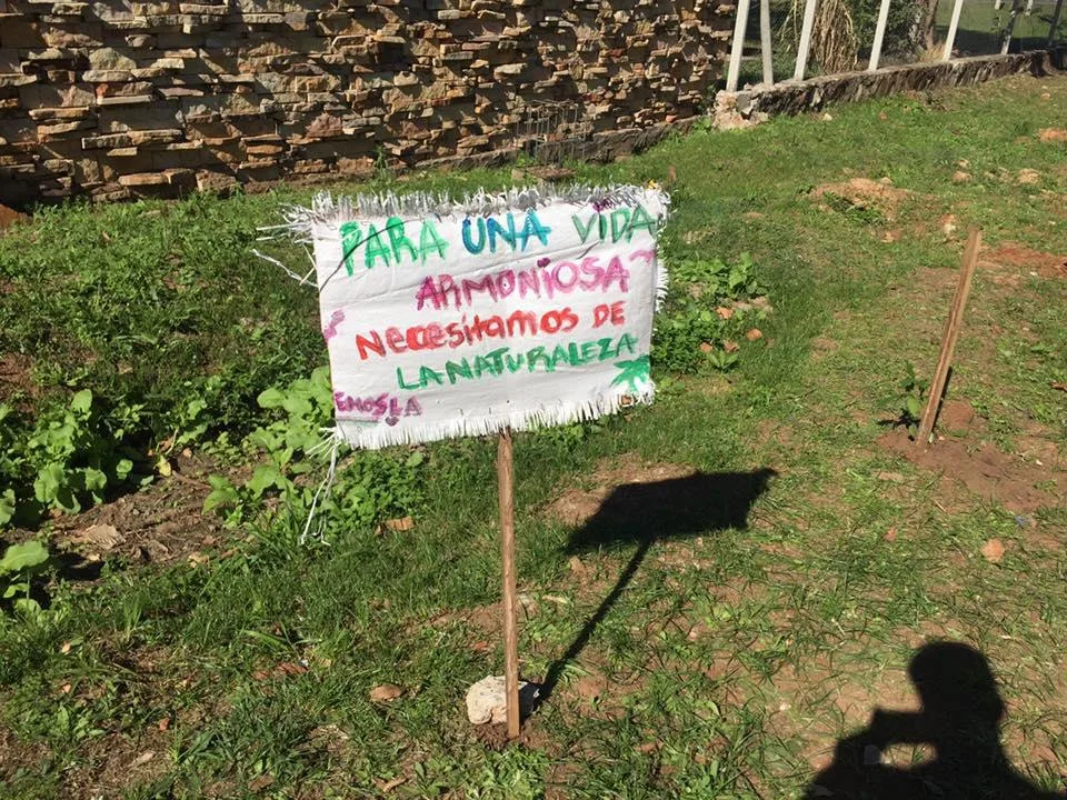 Foto: paraguaySOStenile