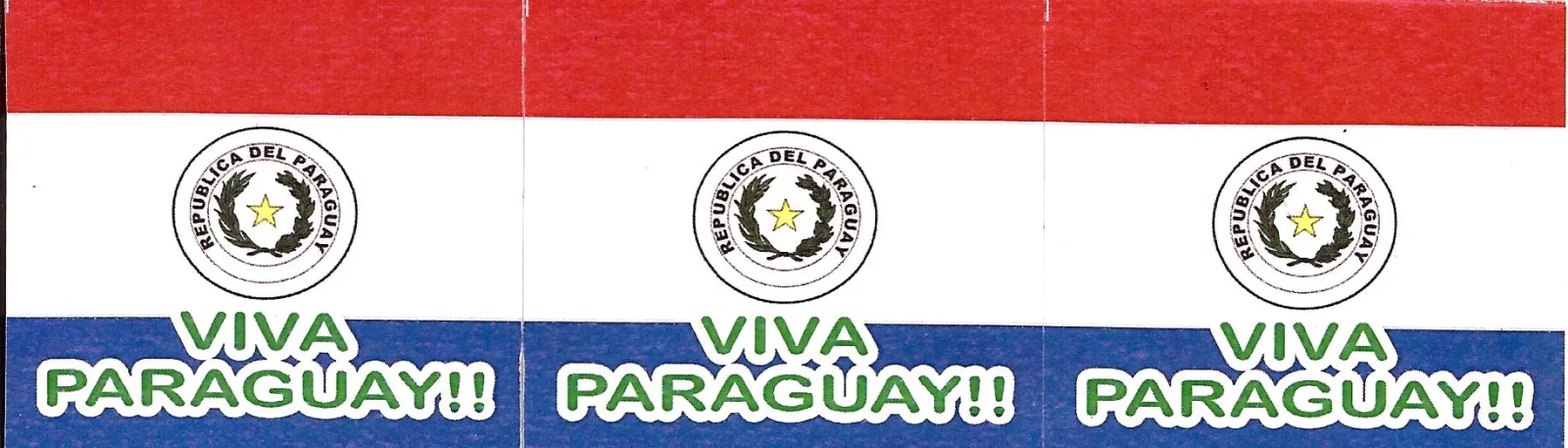 bandera paraguaya fepara va