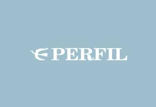 perfil  diario logo