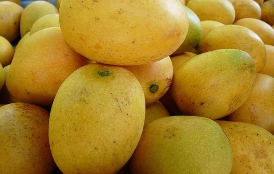 Foto: paraguay.com