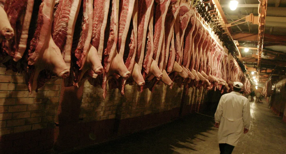 Comercio exterior: Paraguay envía el 86% de la carne porcina a Rusia y Liberia, según datos de Senacsa. (foto: sputnik/Rusian Krivobok