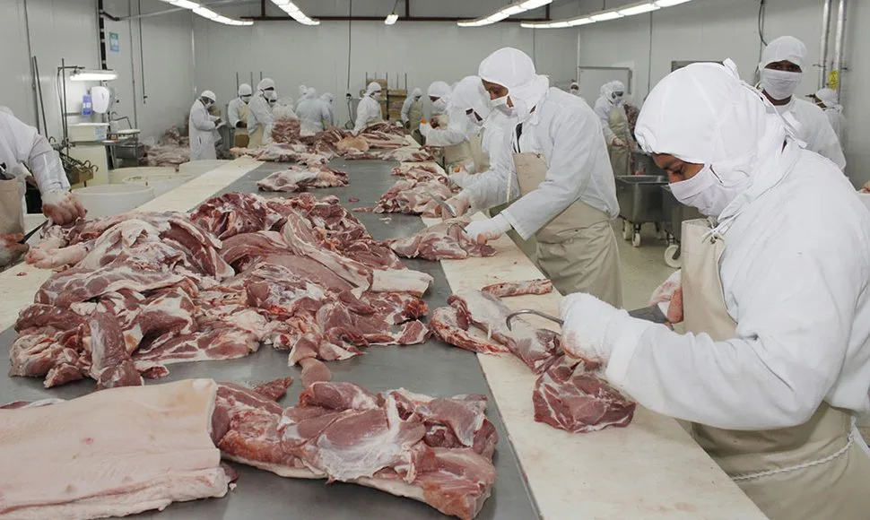 carne fox export