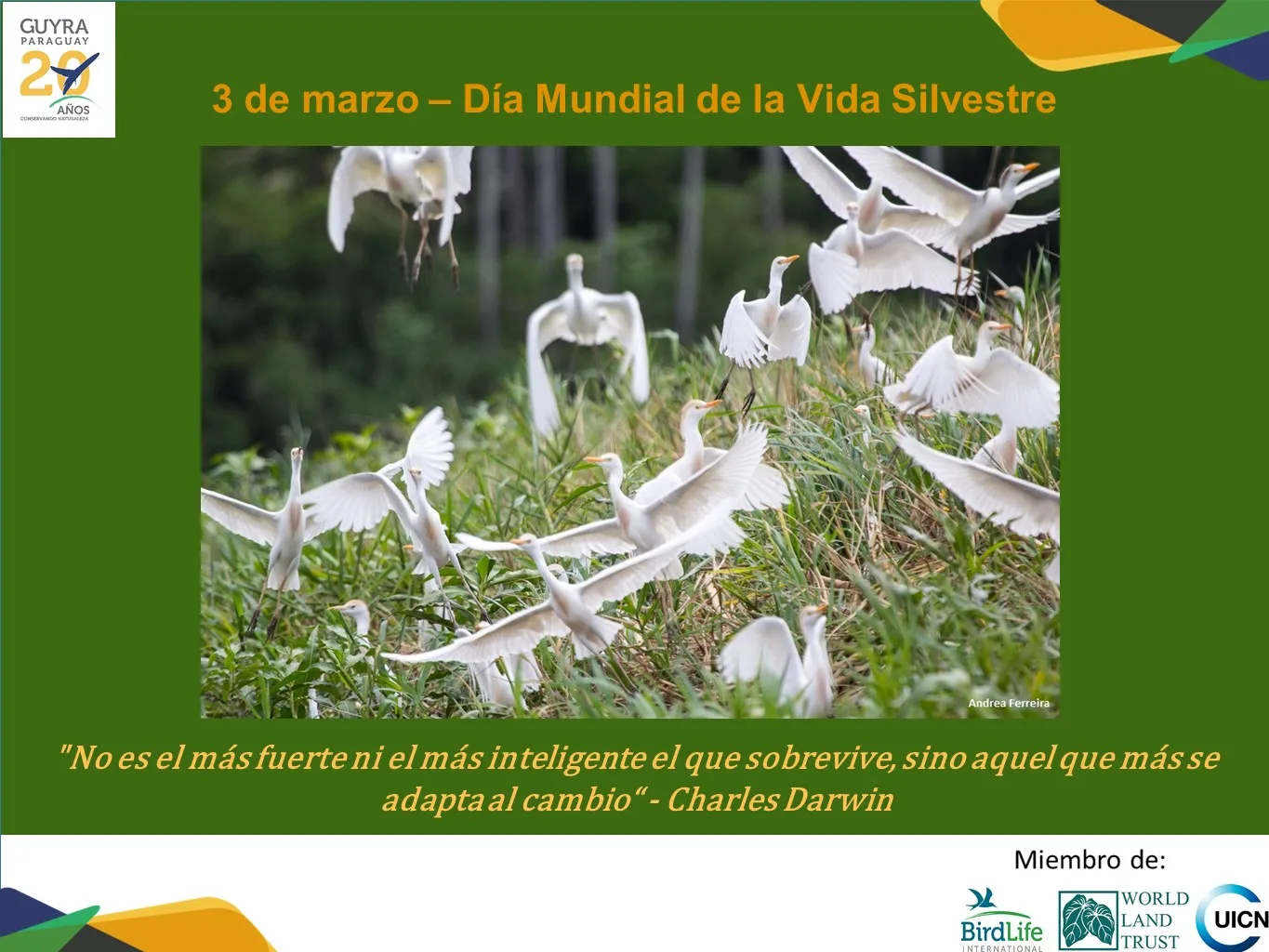 vida silvestre