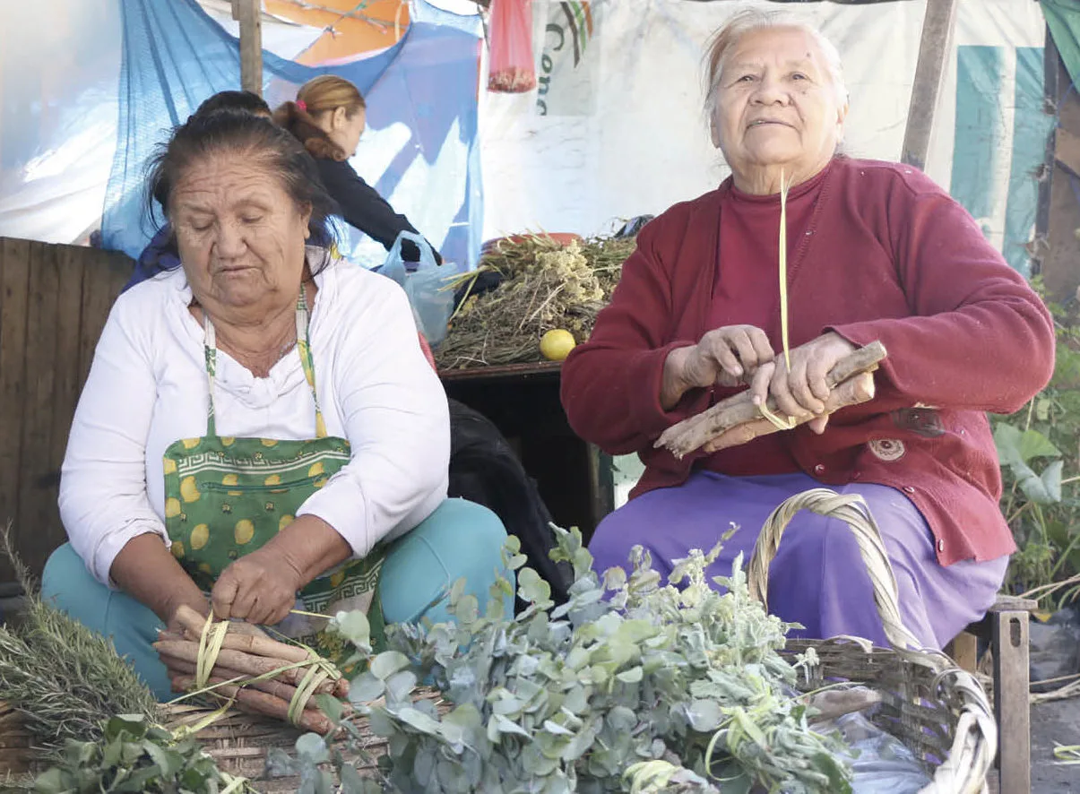 Aparicia y Natalicia Ramírez, yuyeras