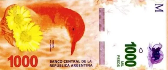 billete argentino de 1000