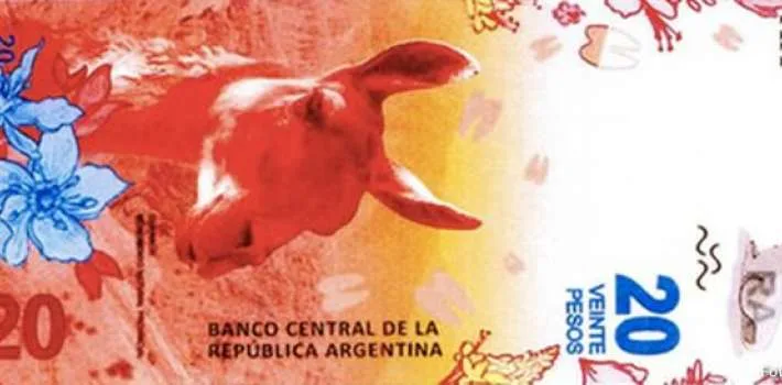 billete argentino de 20 guanaco