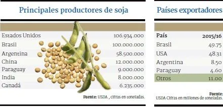 exportación de soja py