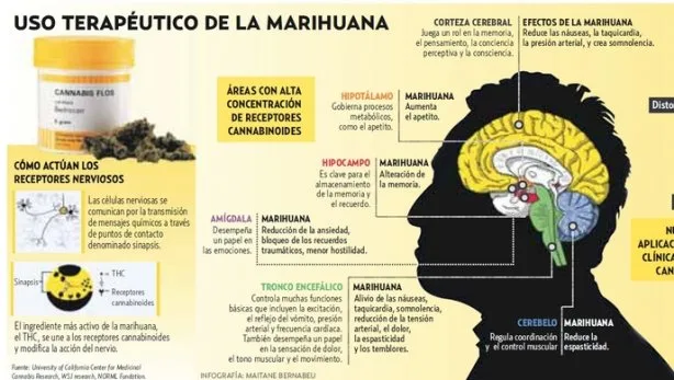 Imagen: marihuana.com