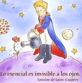 PRINCIPITO